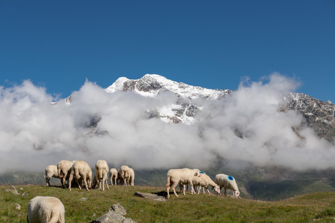 וונט Natur-&Alpinhotel Post מראה חיצוני תמונה
